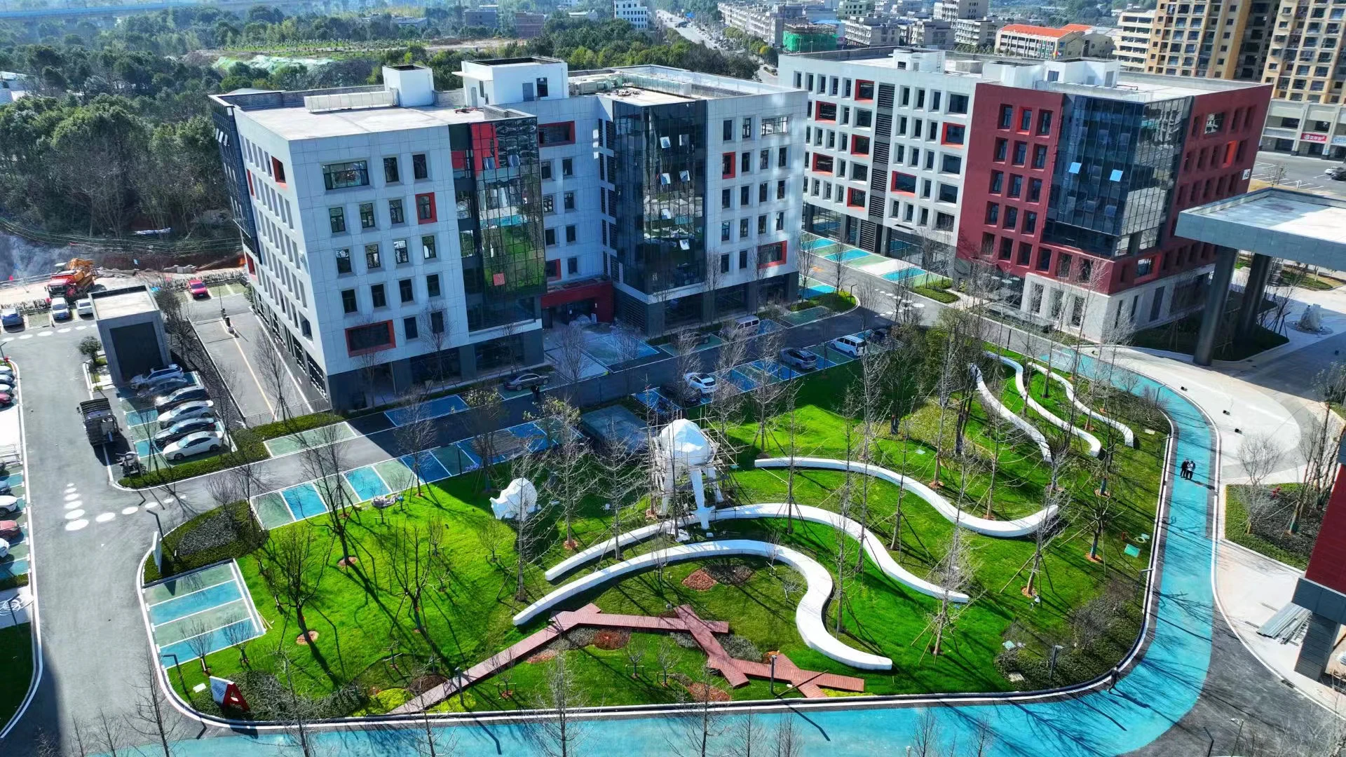 Bsa Standard Solution Protein Assay Quantification Research 5 Mg/ml