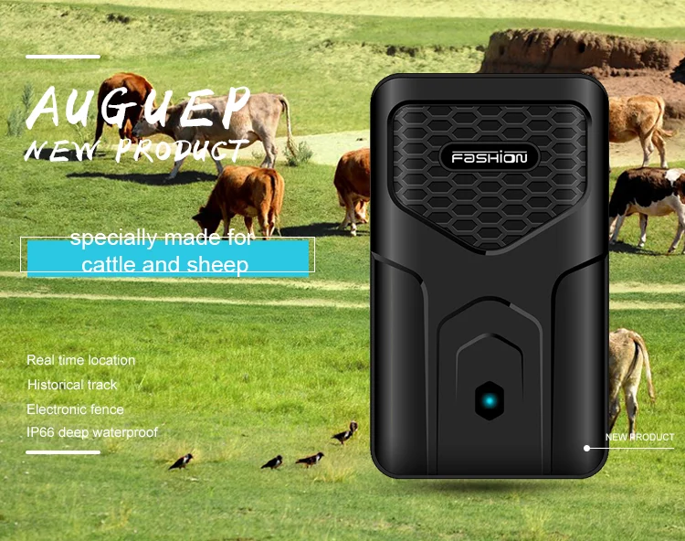 Animal gps tracking chips Outlet
