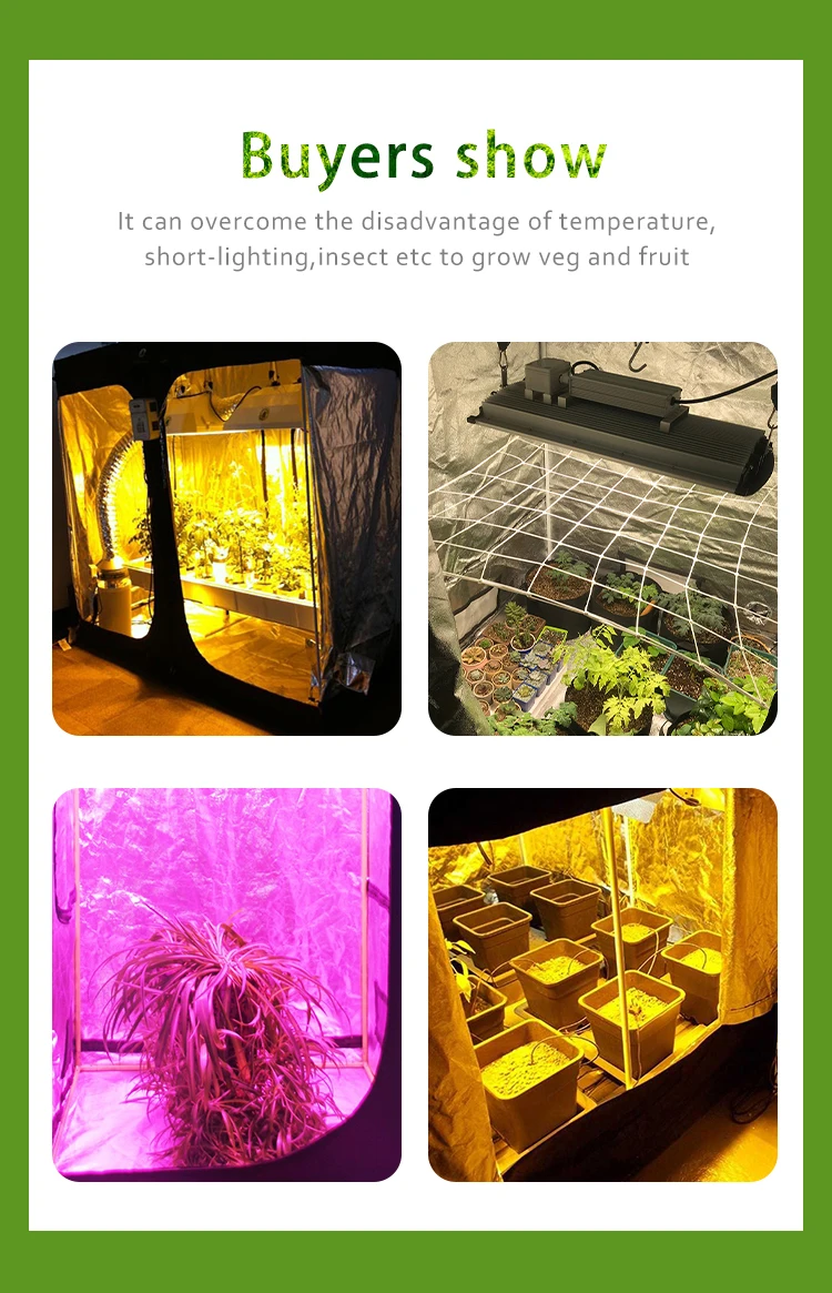Hydroponics Indoor Complete Gorilla Grow Tent Kit