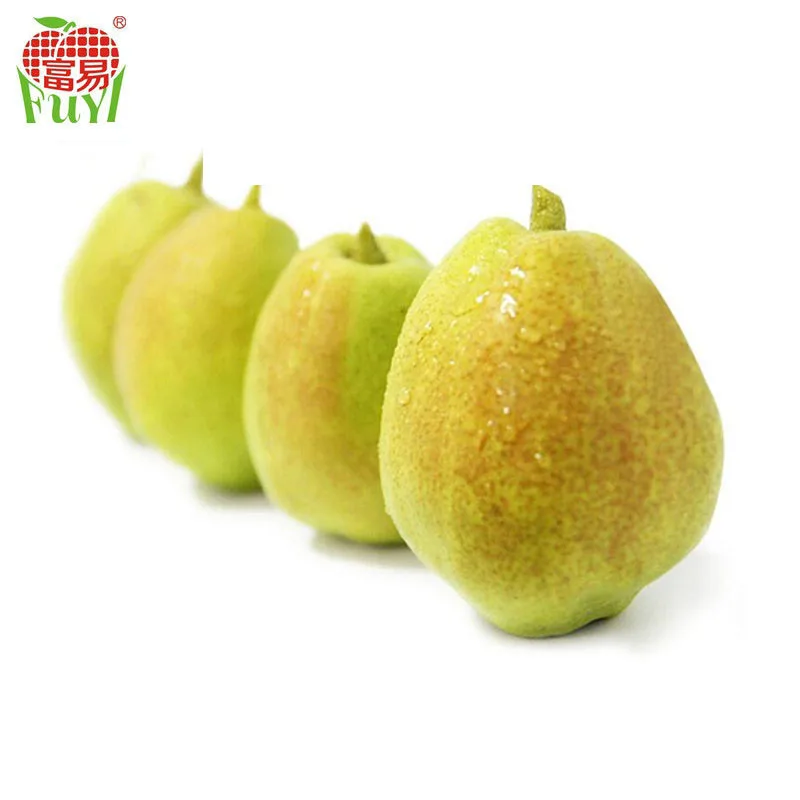 
Yellow fresh pears/Big size golden pears/Sweet pear fruit 
