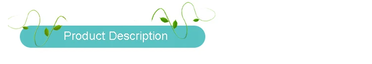 Product Des