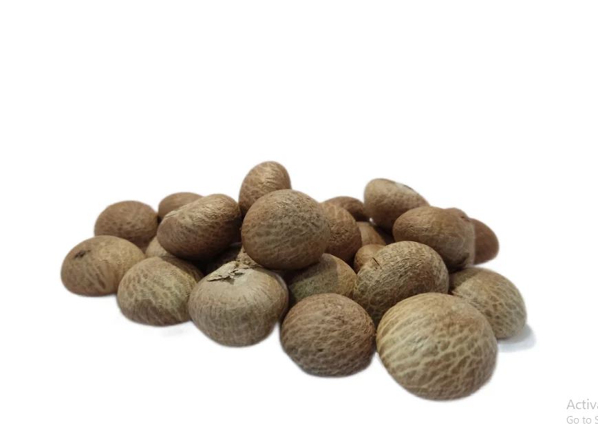 Betel Nut From Indonesia Brown Color Dried Best Selling 100 Natural