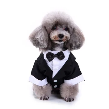 boy dog clothes cheap