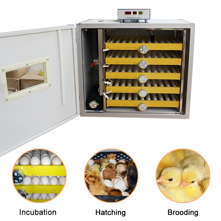 300 egg incubator-19.jpg