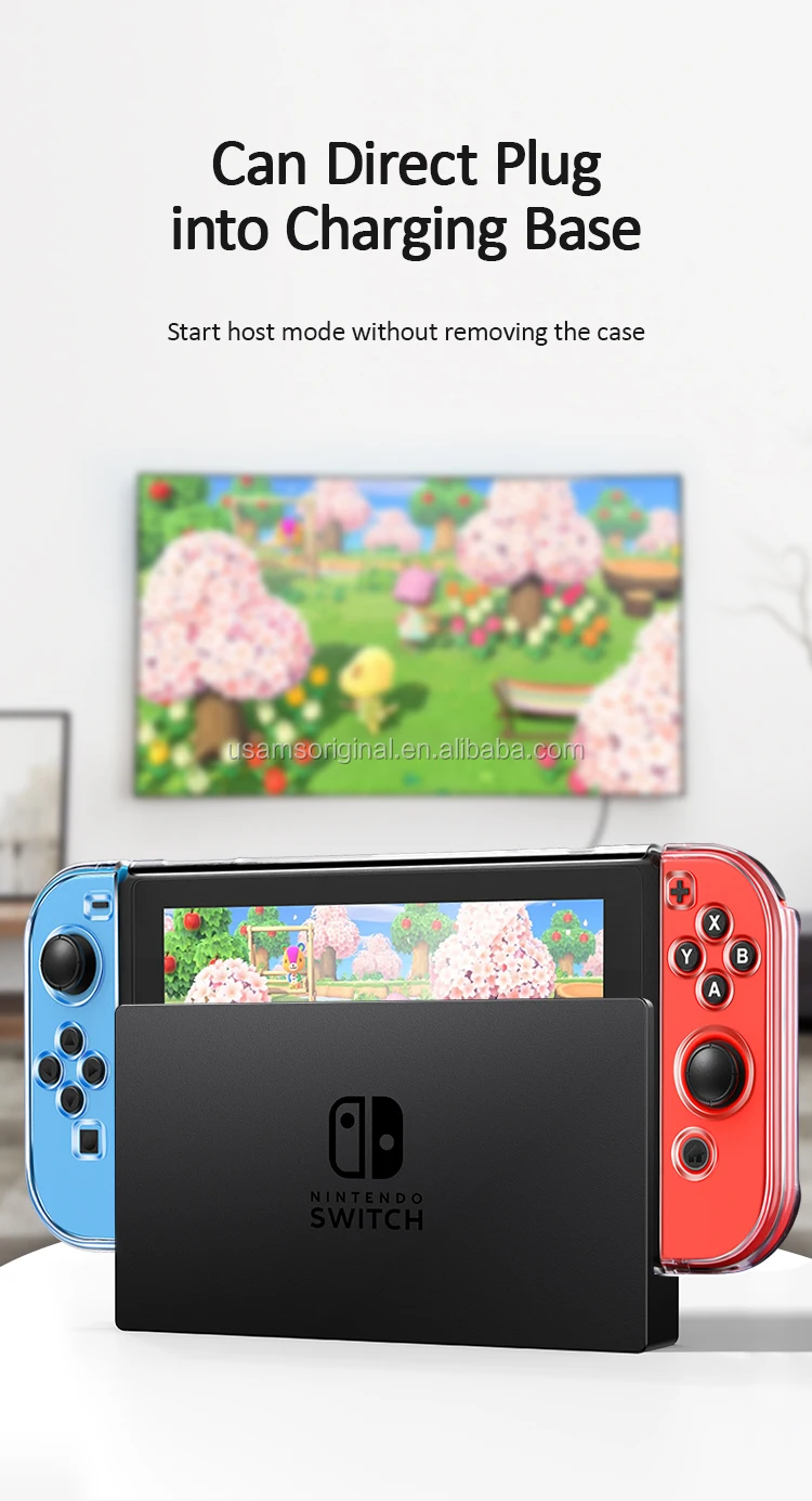 BH591-Switch-PC (6).jpg