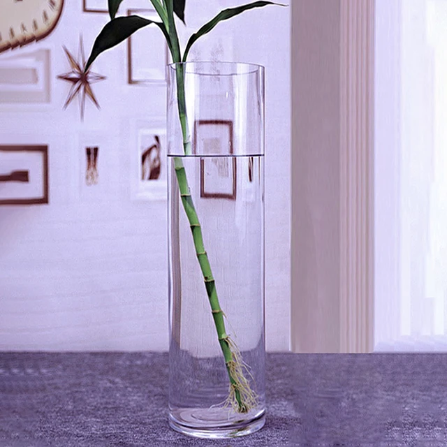 Clear Blown Tall 100cm Cylindrical Glass Floor Large Vase Buy