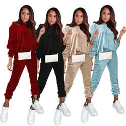 Custom 2 Two Piece Fall Velvet Women Two Peice Track Suit Stretch Ladies Velvet Two 2 Piece Sport Outfit Long Sleeve Woman Set