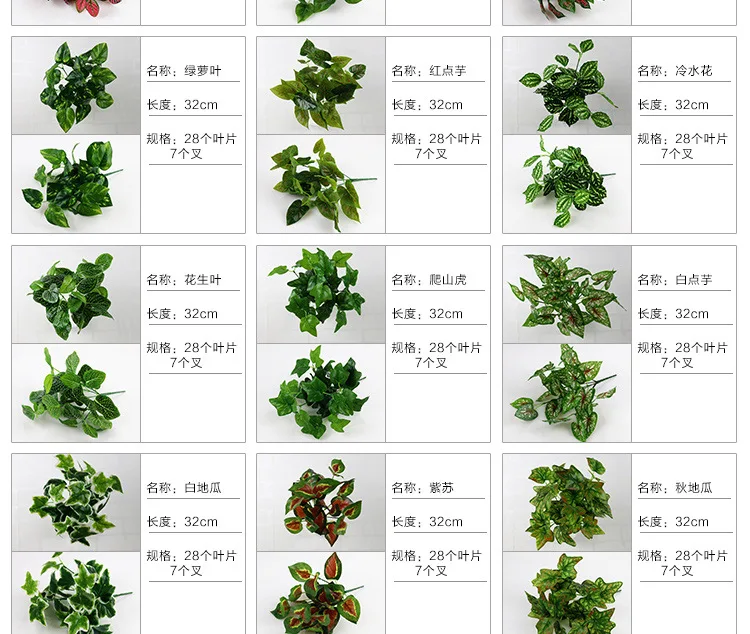 xingqing1 (1)