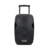 Accuracy Pro Audio CSL15AMXQ-V2BP-BT 15'' trolley battery powered speaker with 2 wireless microphone bluetooth active speaker
