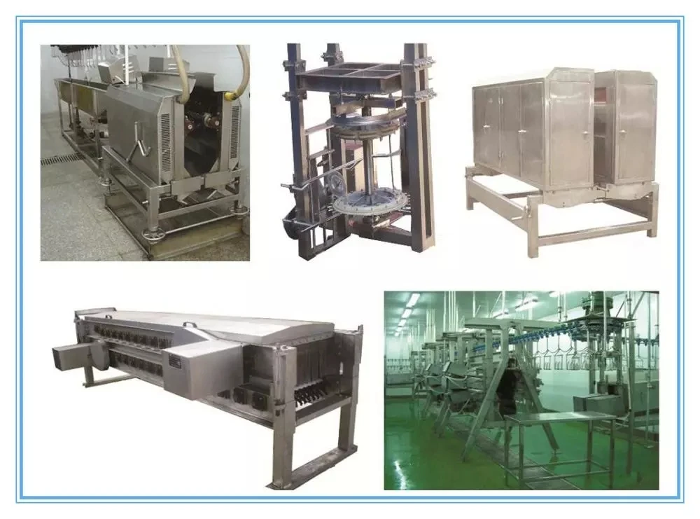 Poultry slaughtering equipment, suitable for poultry production line slaughterhouses