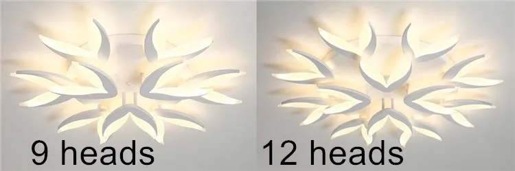 Creative shape indoor led ceiling light acrylic led ceiling mount light with remote control led lighting for living room