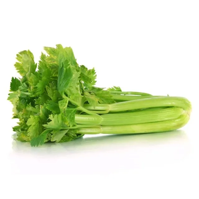 
FRESH VEGETABLES FRESH CELERY CABBAGE - contact now to get the BEST DEAL 