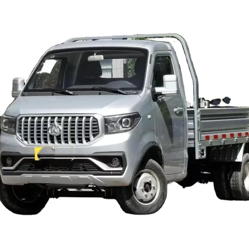 China High Quality Truck 2024 Changan Shenqi T30 Single Row 2 Seater ...