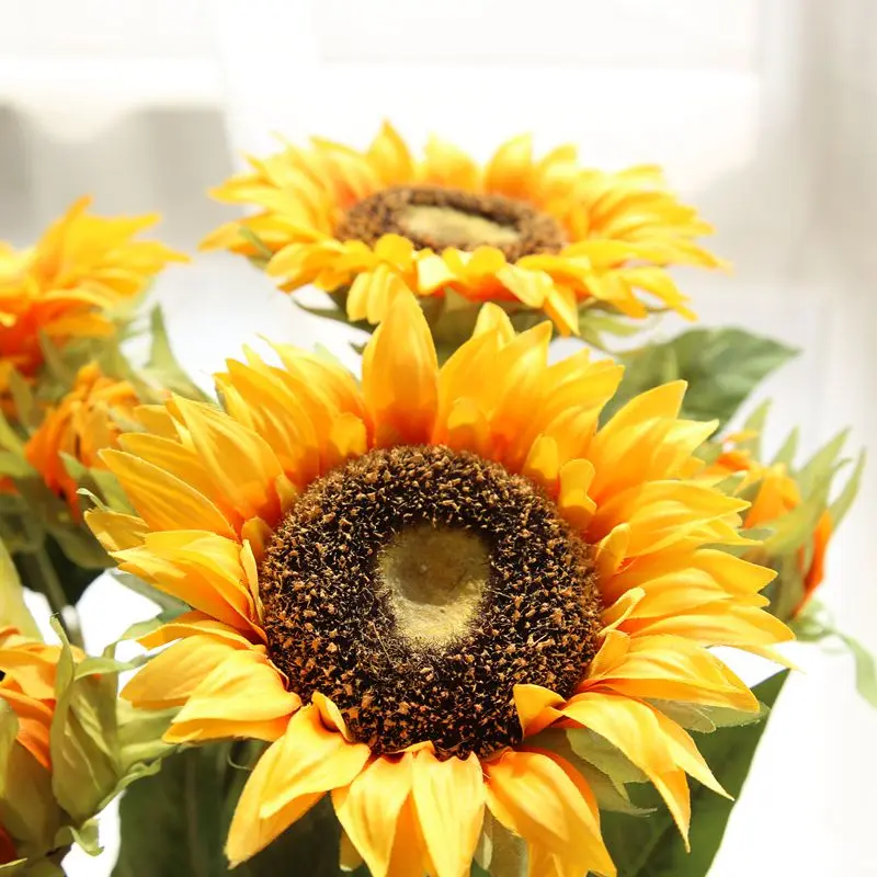 Гобеленовая наволочка аристократ кетт 45*45. Наволочка гобеленовая 50х50 подсолнухи. Подсолнух png на прозрачном фоне. Подушка льняная чехол. Подсолнух 45.