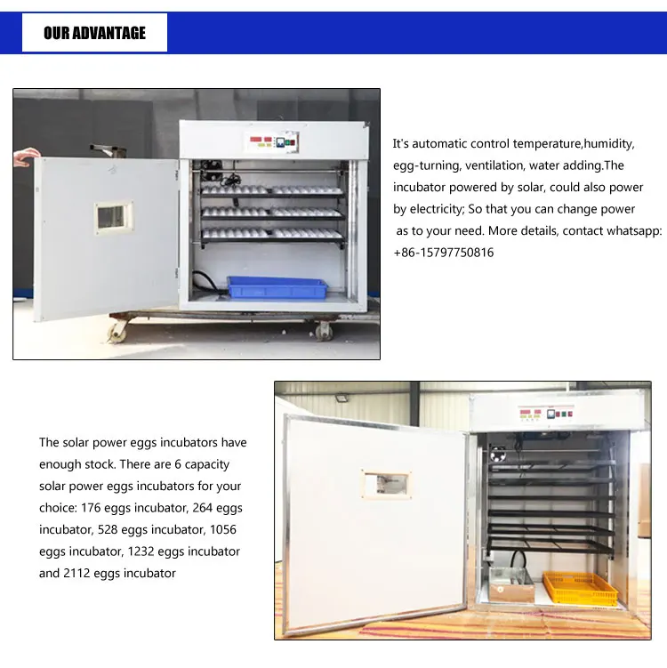 Industrial Poultry Solar Powered Eggs Incubator Full Automatic Solar