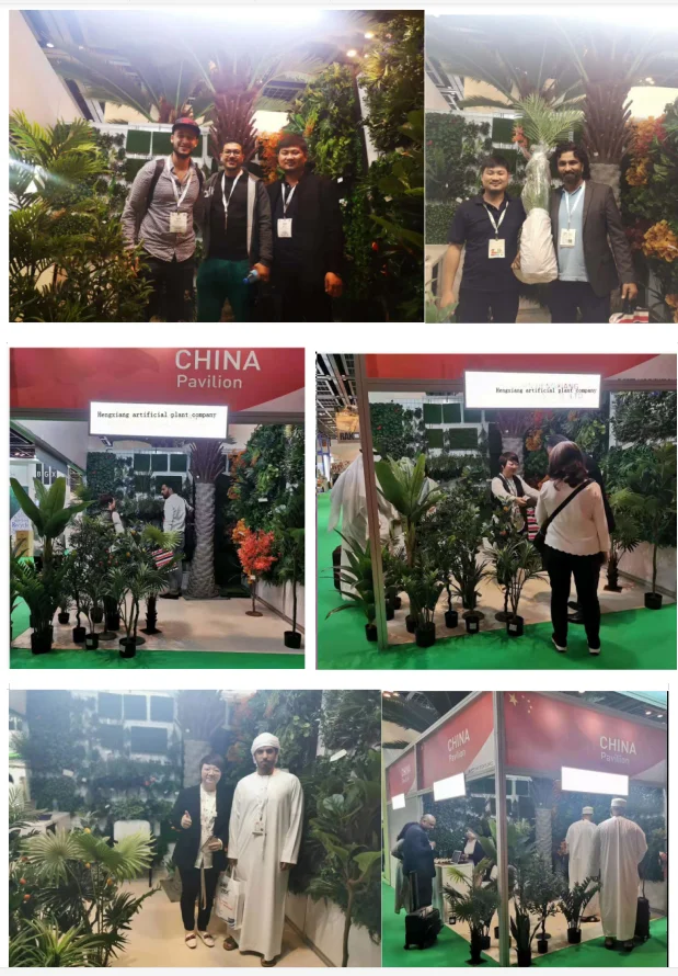 paste-pic-dp_uuid_a7kbi