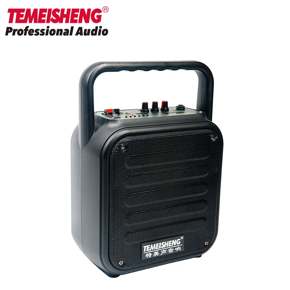 temeisheng speaker