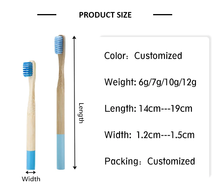 non disposable toothbrush
