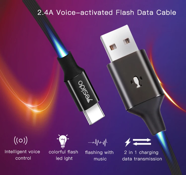 Voice Control Light Flash Data Cable Line 2 In 1 Data Transmission Charging Cable Usb