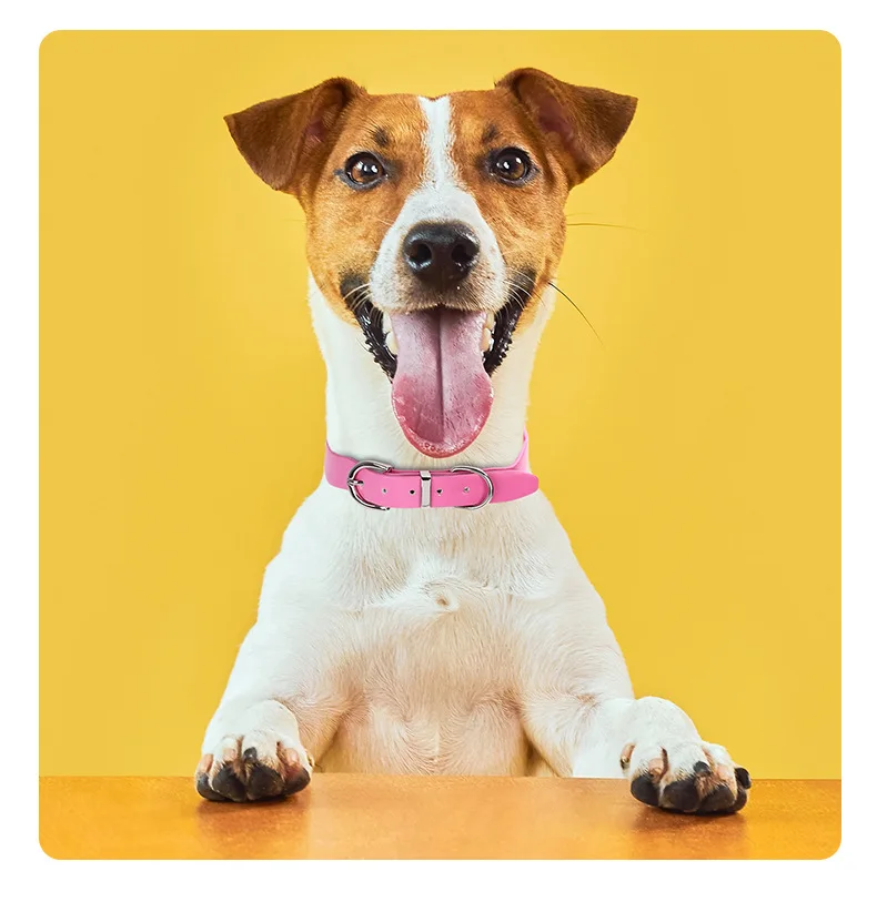 Pu Leather Accessories Dog Collar Macaron Adjustable High-End Special-Shaped Wave Banquet Birthday Ribbon Solid Pet Collar