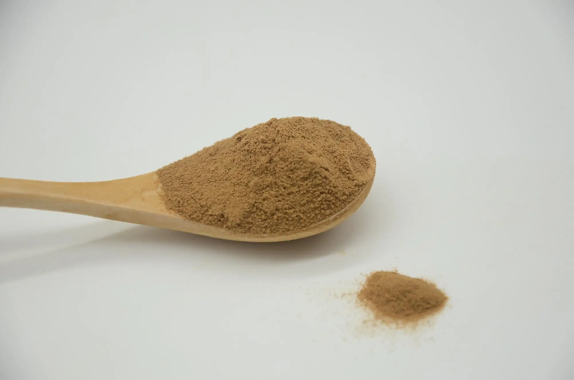 高品质的天然橄榄叶提取物 oleuropein 粉末