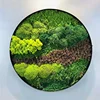 Wall decoration preserved dried moss preserved reindeer moss wall hanging frame