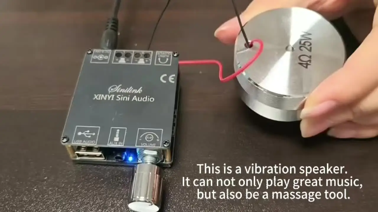 best vibration speaker 4 Best Vibration Speakers in 2026 [Review and Buying Guide]