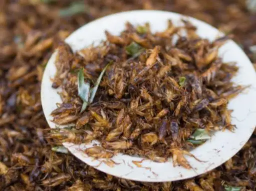 1, the efficacy of sputum