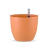 China Wholesale Websites Small Plastic Flower Pots Train Flower Pot