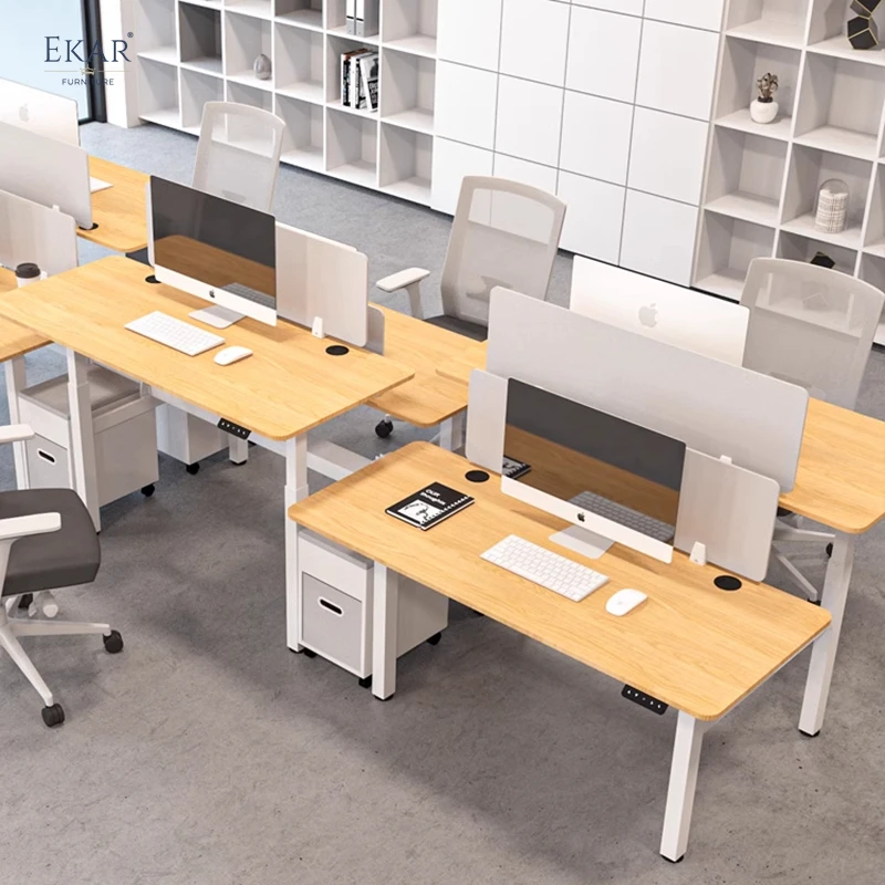 Ekar Expand Furniture Height-Adjustable Dual Workstation Office Desk with Ergonomic Design supplier