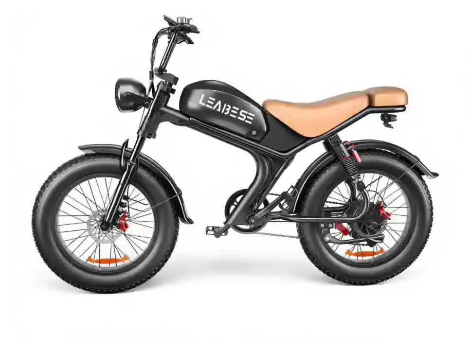 Dual Motor 1000W 20ah Fat Tire Offroad Ebike Fast Reliable