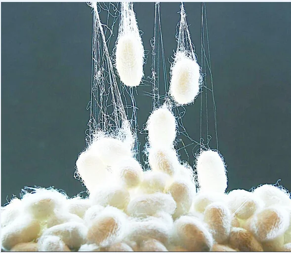 热卖手工丝绸被子