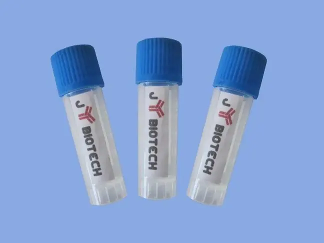antibody
