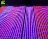 T8 single row tube Red and blue 4 to 1 hydroponic growing systems Indoor plant and flower 15W led grow lights
