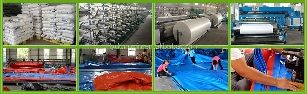 FACTORY SHOW1.jpg