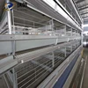 The first fully poultry farming cage chicken layer with water flushing system manufactured by robot welding technology