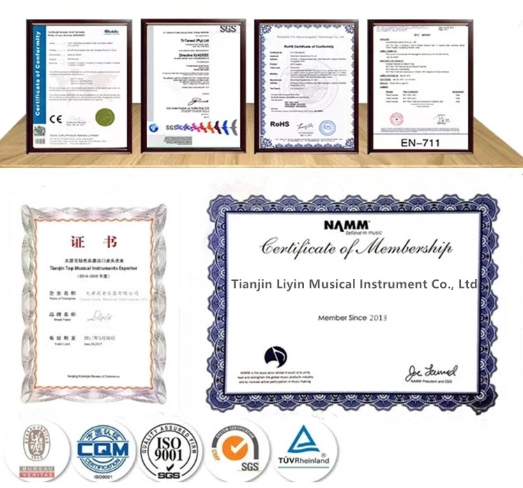 acoustic guitar case