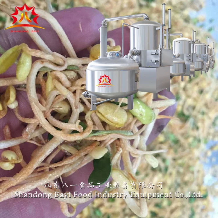 Commercial fully automatic vegetables and fruits vacuum fryer machine