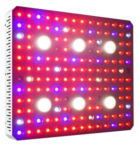 High Performance 3000W Agriculture 6 COBs Horticulture led grow light full spectrum Grow Lights panles