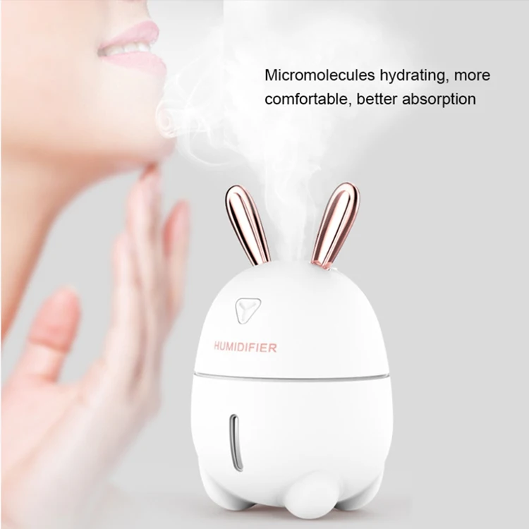 Rabbit Humidifier 9