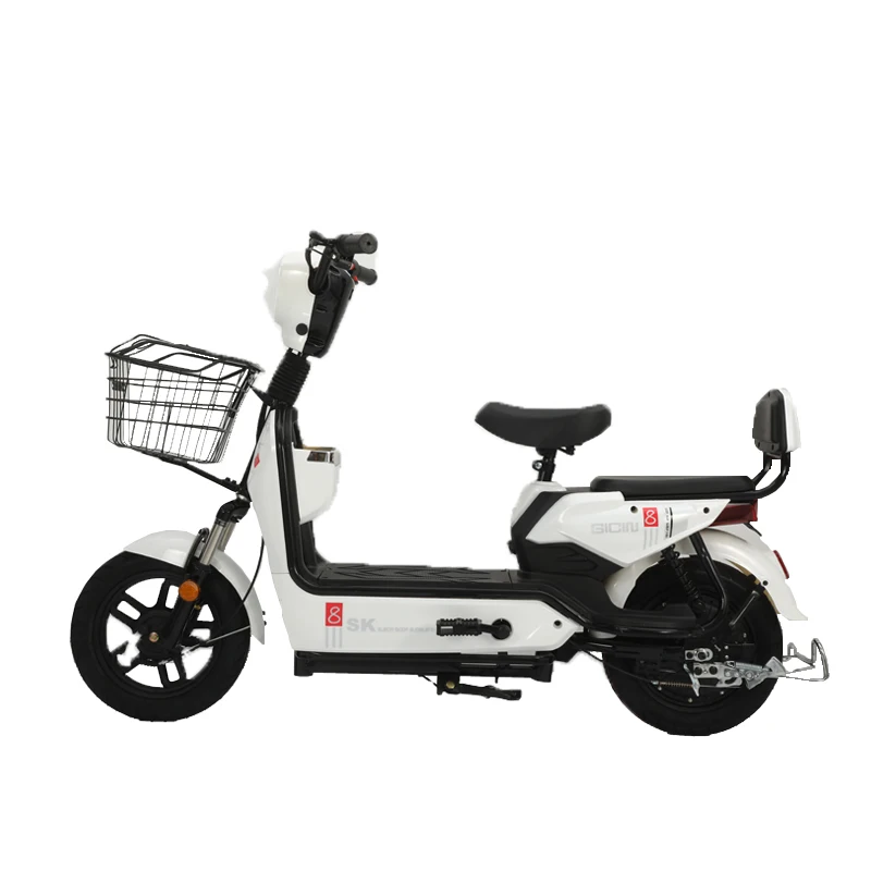 China Manufacturer Electric Bike Two Wheel Electric Bikes Electric 