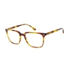P-RA40014 Italian Designer Vintage Stylish Fancy Demi Pattern Clear Lenses Acetate Optical Eyeglasses Frame for Men