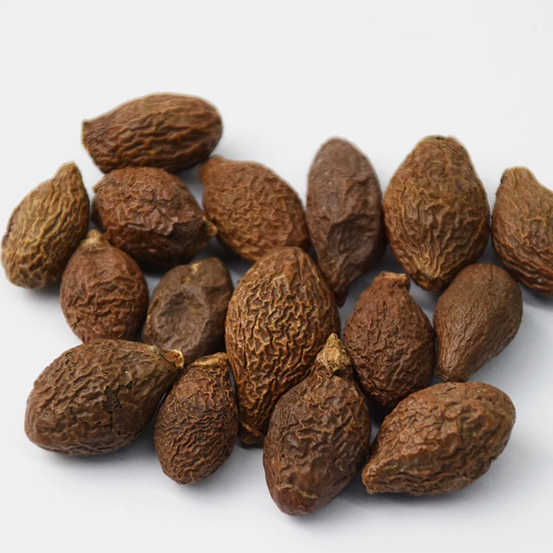 Chinese Herbs Sterculia Lychnophora Boat-fruited Scaphium Seed - 4uTea | 4uTea.com