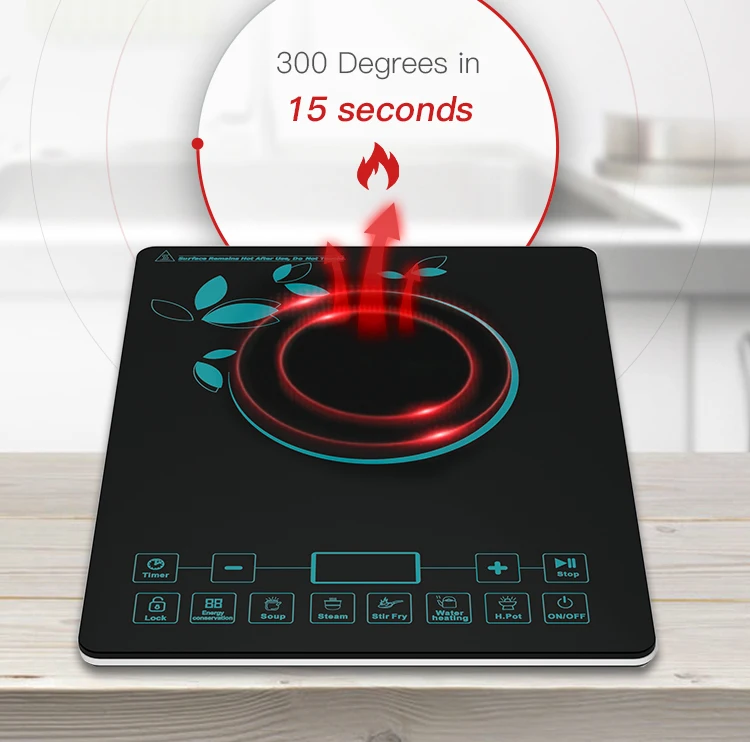 Japan Price Low Power Electric National Mini Small Induction Cooker