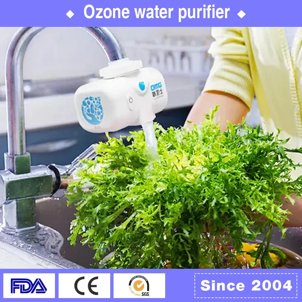 Ozone purifier
