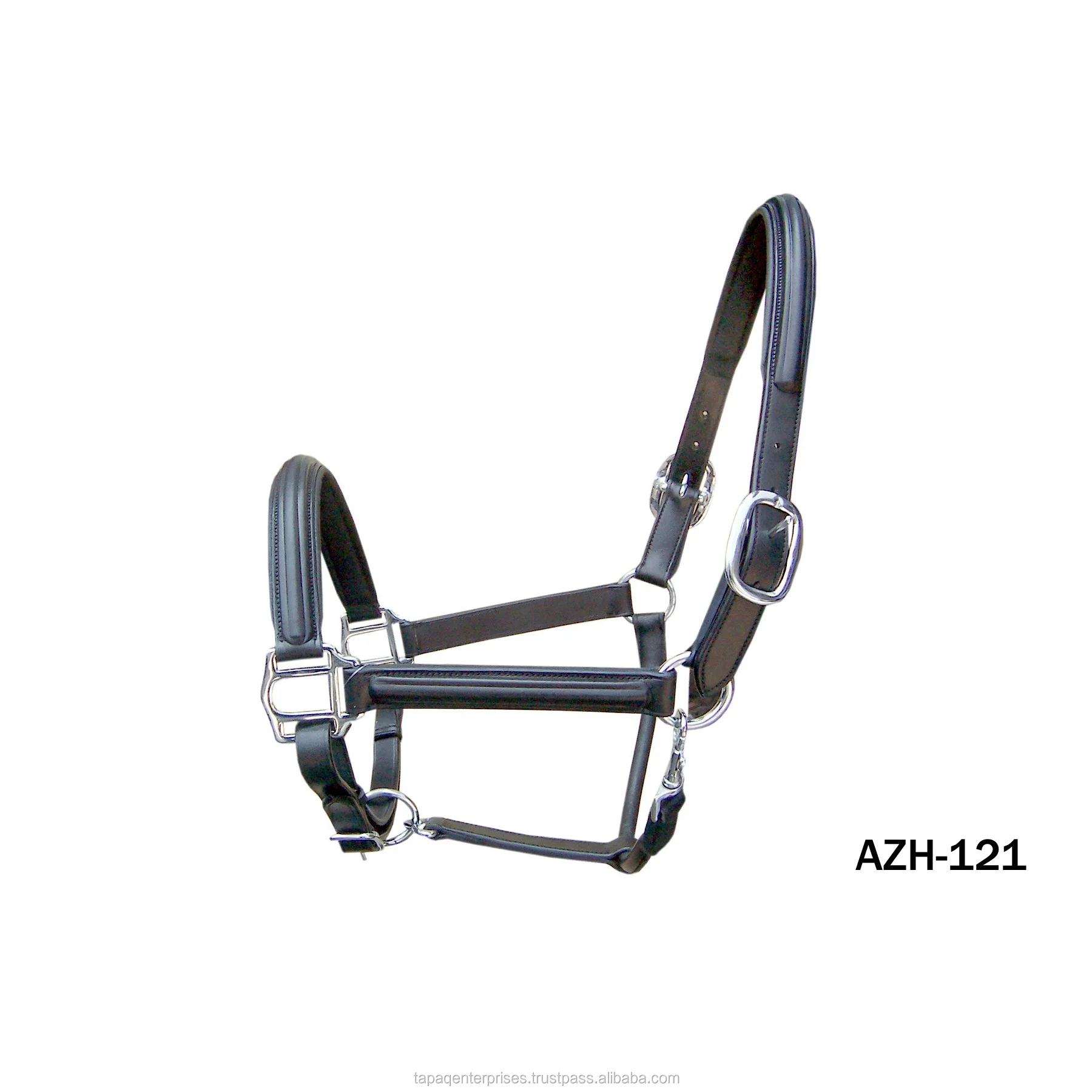 AZH 121.jpg