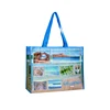 /product-detail/custom-image-low-moq-murah-blank-water-proof-degradable-rainbow-advertising-cute-reusable-grocery-souvenir-buy-non-woven-bag-62376336013.html