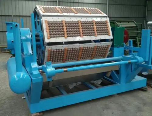 Taichang full automatic small Egg tray manufacturing machine for sale