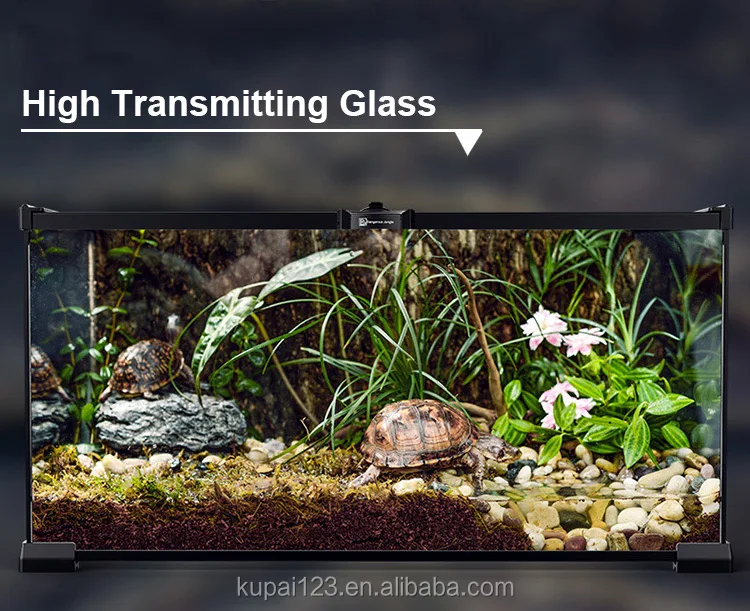 Reptile Glass Terrarium Cage For Frog Gecko Metal Net Of Rain Forest ...