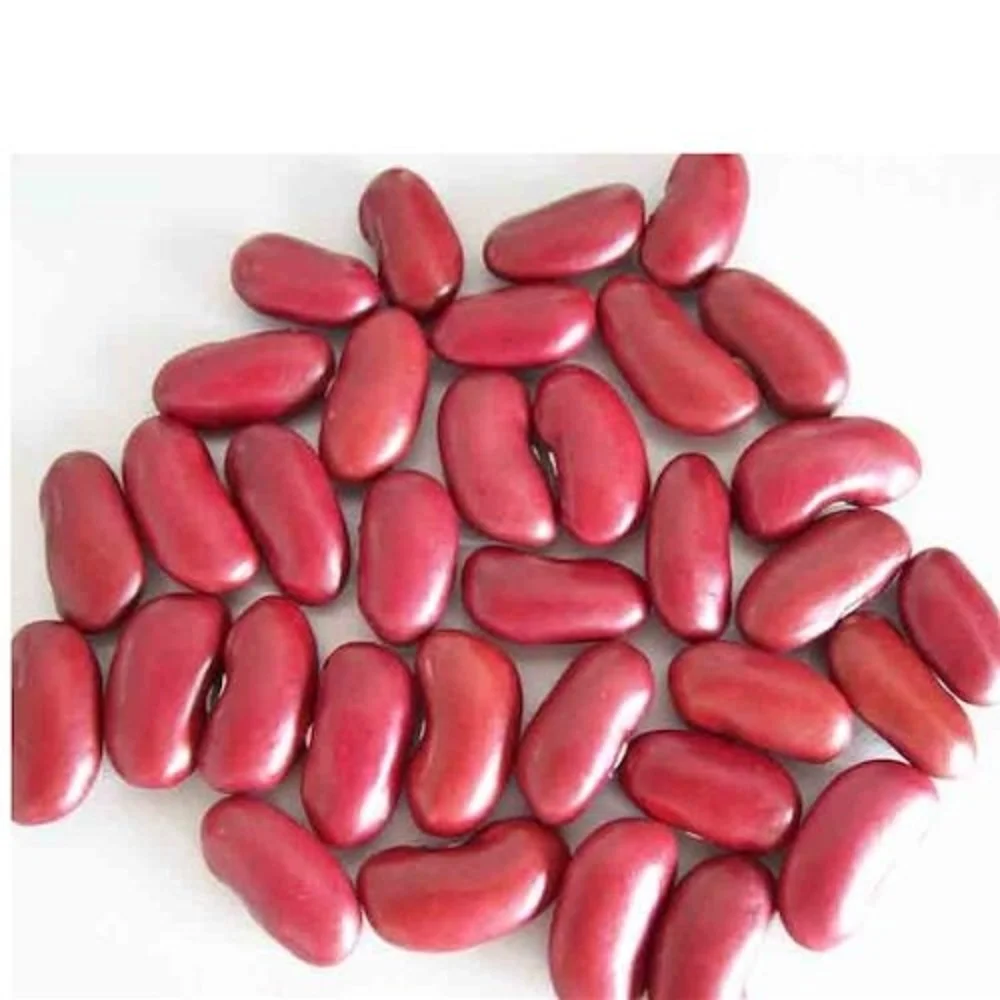 wholesale pinto red beans speckled kidney beans